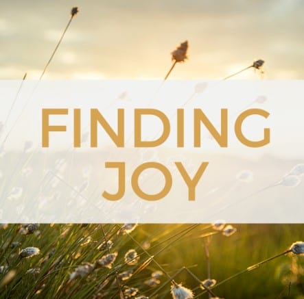Finding joy in unexpected dreams