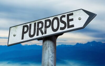 A Day in the Life: From Pain to Purpose