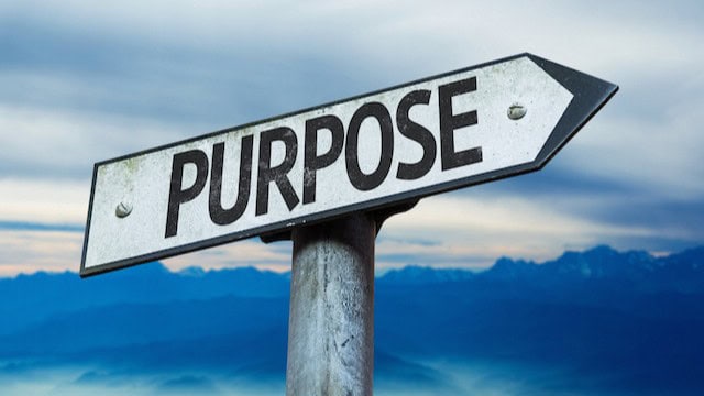 A Day in the Life: From Pain to Purpose