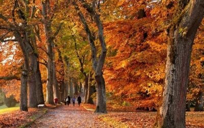 Seasons of Change