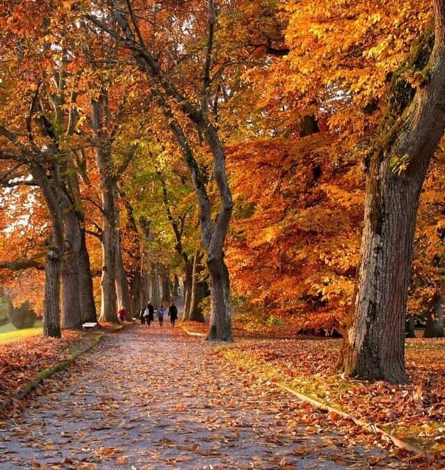 Seasons of Change