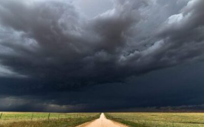 Surviving the Storm: How PAL Empowered Me to Love—and Let Go