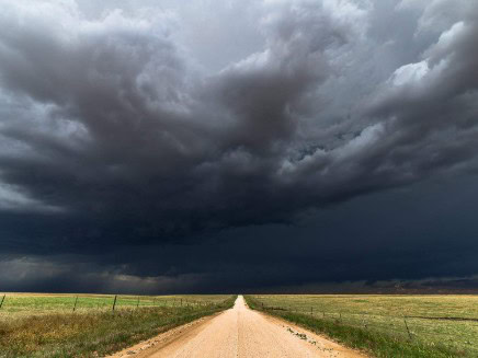 Surviving the Storm: How PAL Empowered Me to Love—and Let Go