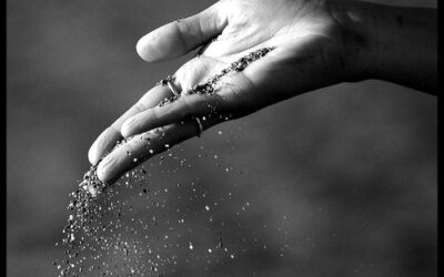 Letting Go, Gaining Peace: How PAL Helped Me Heal as a Parent