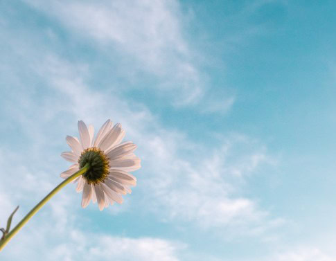 A PAL Mom’s Story of Hope