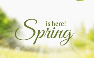 When Spring Comes