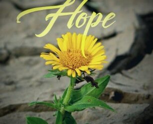 From Chaos to Hope: Finding Freedom Through Letting Go Of Control