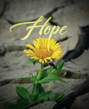 From Chaos to Hope: Finding Freedom Through Letting Go Of Control