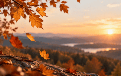 A Season of Letting Go
